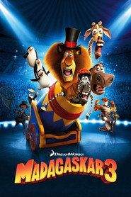 Madagaskar 3 Cały Film (2012) - Filman