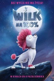 Wilk na 100% Cały Film (2020) - Filman