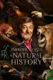 Fantastyczne zwierzęta: Historia naturalna Cały Film (2022) - Filman
