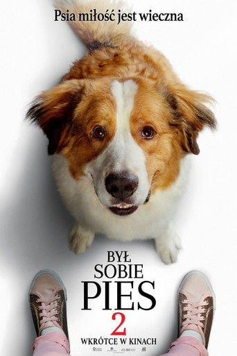 Był sobie pies 2 Cały Film (2019) - Filman