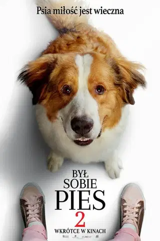 Był sobie pies 2 Cały Film (2019) - Filman