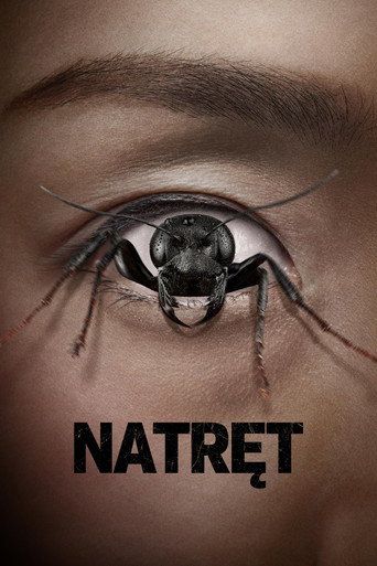 Natręt Cały Film (2025) - Filman