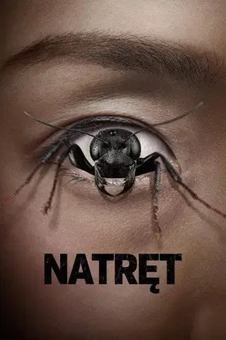 Natręt Cały Film (2025) - Filman