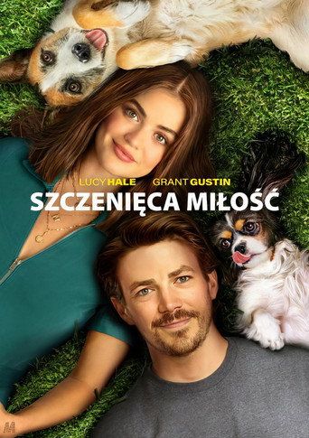 Szczenięca miłość Cały Film (2023) - Filman