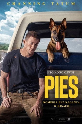 Pies Cały Film (2022) - Filman