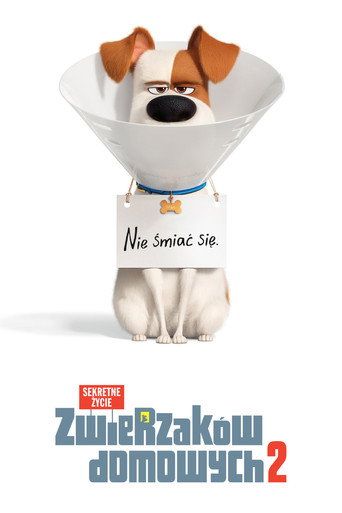Sekretne życie zwierzaków domowych 2 Cały Film (2019) - Filman