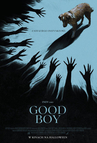 Good boy Cały Film (2025) - Filman
