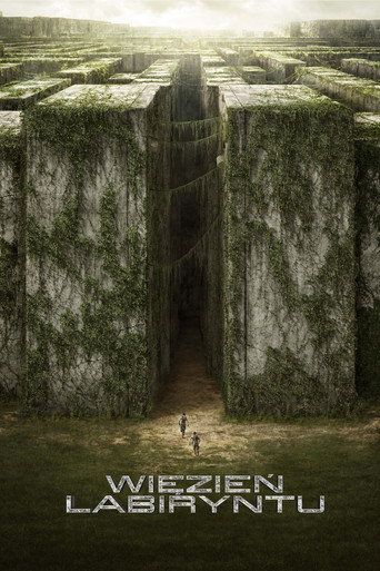 Więzień labiryntu Cały Film (2014) - Filman