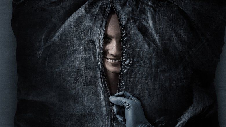 Uśmiechnij się Cały Film (2022) - Filman