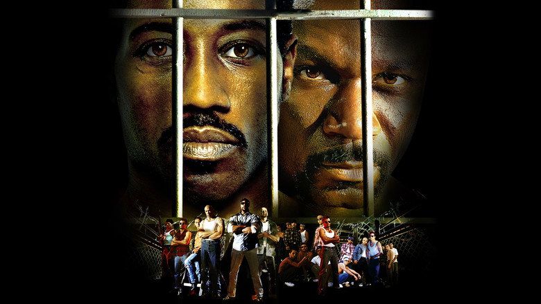 Champion Cały Film (2002) - Filman