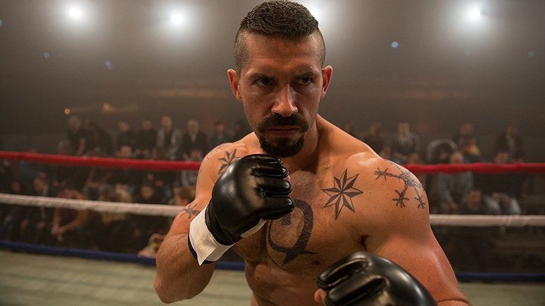 Champion 4: Walka o honor Cały Film (2016) - Filman