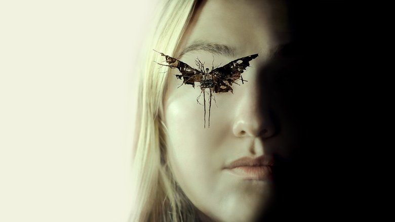 The Watchers Cały Film (2024) - Filman