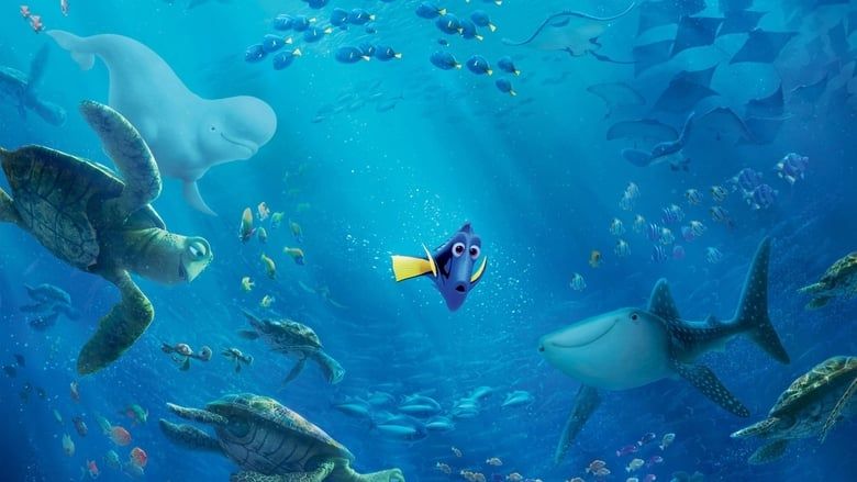 Gdzie jest Dory Cały Film (2016) - Filman